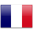 フランス  の 日本 住民向け申請書。