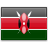 
                            ケニアのビザ
                            