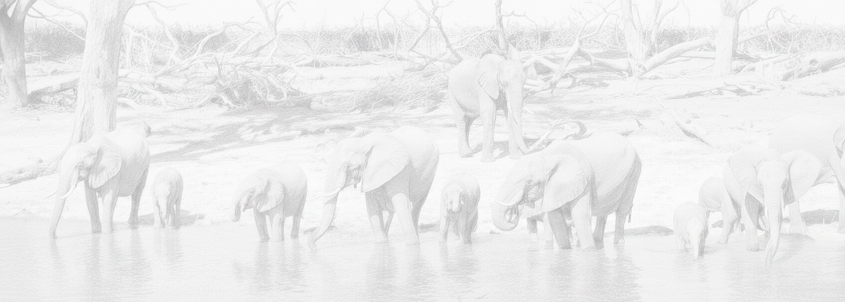 ボツワナ ビザ申請と要件